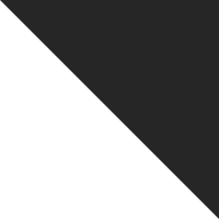 Consalti logo - loan in Switzerland